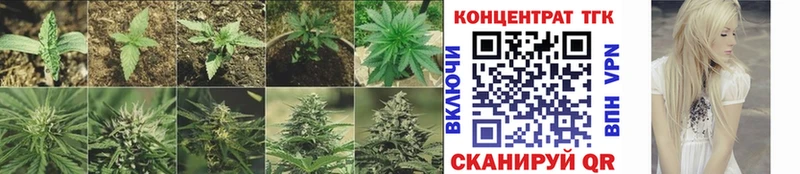 ТГК THC oil  Купить закладки  Сковородино 