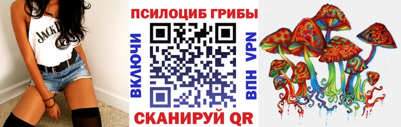 Купить  Сковородино  Галлюциногенные грибы Magic Shrooms 